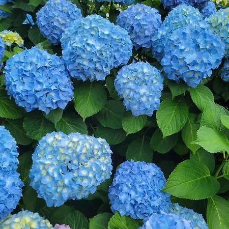 Casa En A 800m De La Playa Santander